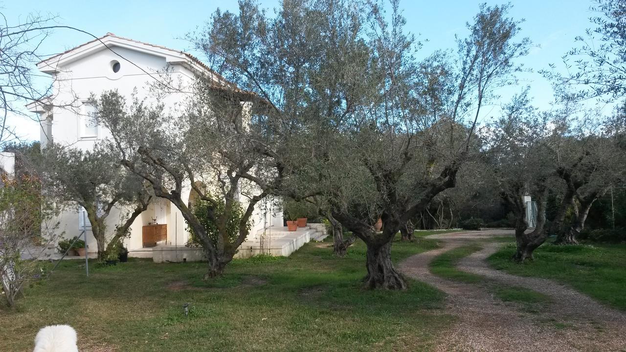 Villa Feia Katakolo Exteriér fotografie