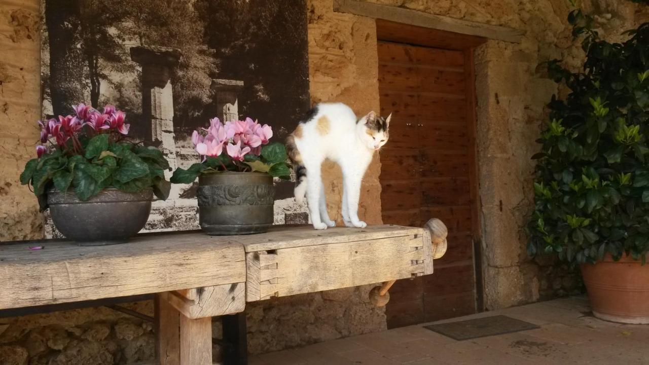 Villa Feia Katakolo Exteriér fotografie